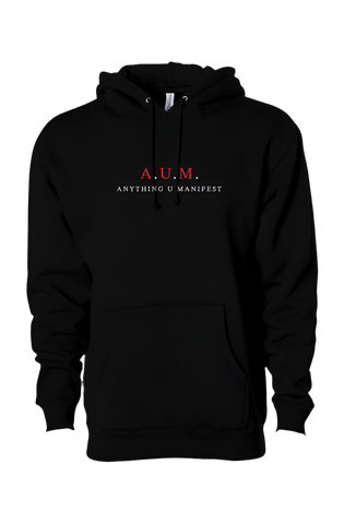 Manifest With A HeavyWeight Pullover Hoodie 10.5 oz PSY